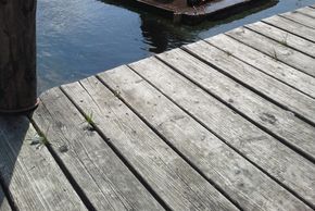 General information about your stay at Mussbachhof