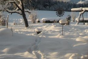 General information about your stay at Mussbachhof