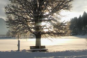 General information about your stay at Mussbachhof