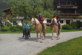 General information about your stay at Mussbachhof