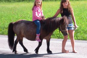 General information about your stay at Mussbachhof