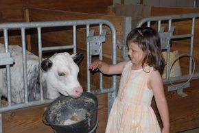 General information about your stay at Nagelehof