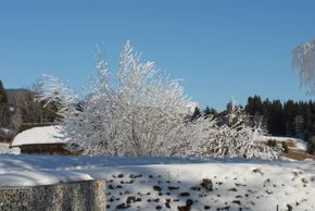 General information about your stay at Neuhof