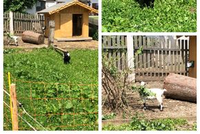 General information about your stay at Obergrundhof