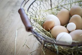 General information about your stay at Obereggerhof