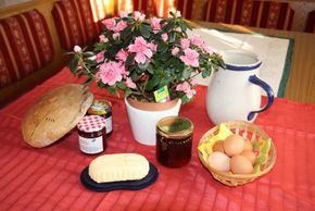 General information about your stay at Oberhaslinghof