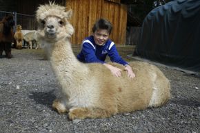 General information about your stay at Panorama Gästehaus