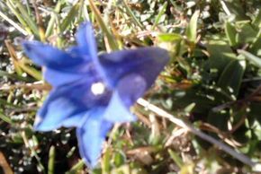 General information about your stay at Pension Mühlbauer