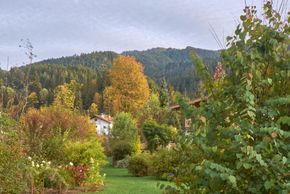 General information about your stay at Pension Aloisia