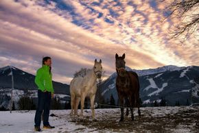 General information about your stay at Pension Brandstaetterhof