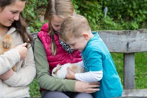 General information about your stay at Pension Dorfer