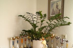 General information about your stay at Pension Falch Margit