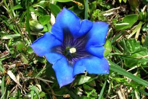 General information about your stay at Pension Faneskla