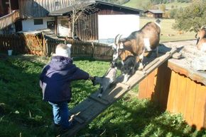 General information about your stay at Heisshof