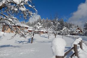 General information about your stay at Poidlbauer