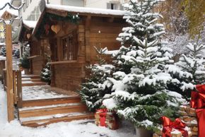 General information about your stay at Residence Sisi