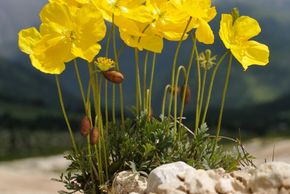 General information about your stay at Residence Tombla