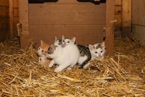 General information about your stay at Riederhäusl