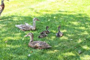 General information about your stay at Riederhäusl