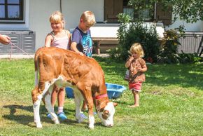 General information about your stay at Riederhäusl