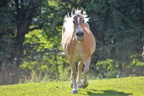 General information about your stay at Romantikgut Millinghof