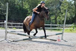 General information about your stay at Romantikgut Millinghof