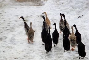 General information about your stay at Romantikgut Millinghof