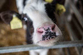 General information about your stay at Romantik Hotel & Restaurant Stafler