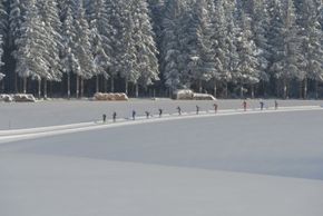 General information about your stay at Schwarzwaldmädel- Ferienwohnungen