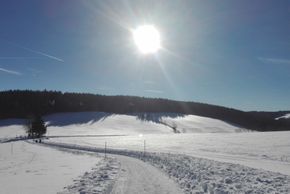 General information about your stay at Schweizermichelhof