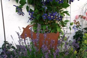 General information about your stay at Schönberghof