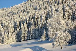 General information about your stay at See-Hotel Kärntnerhof