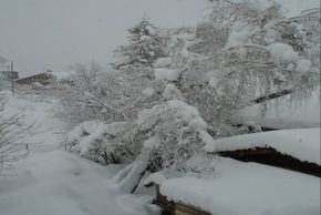 General information about your stay at Silvana