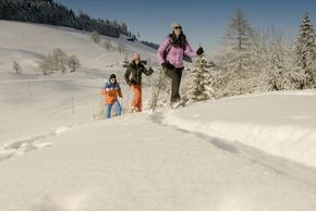 General information about your stay at Sport- und Wellnesshotel Held