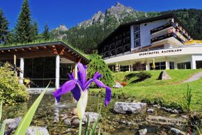 General information about your stay at Sport- und Vitalhotel Bachmann