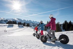 General information about your stay at STUMPS ALPENROSE ****