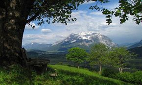 Detaillierte Infos zur Unterkunft Bio- Bauernhof Vorderbärnau