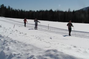 50 km Langlaufloipe direkt Habischried/Bischofsmaiszur Rusel