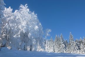 Schwarze Piste am Einödriegel