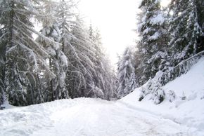 Waldwanderweg in Spinges