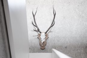 Detaillierte Infos zur Unterkunft Venet Gipfelhotel