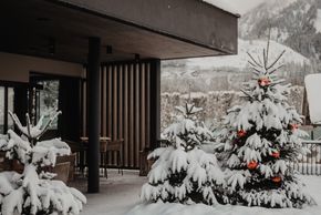 Detaillierte Infos zur Unterkunft Hotel Berghof