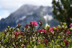 Freizeitvielfalt im Allgäu