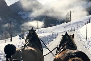 Detaillierte Infos zur Unterkunft Appartmenthaus Abelhof an der Skipiste in Rohrmoos bei Schladming