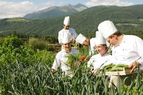 eigener Kräuter und Gemüse Garten