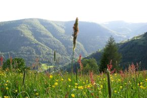 Detaillierte Infos zur Unterkunft Almhütte Obervostlhaus