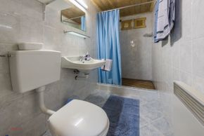 Detaillierte Infos zur Unterkunft Almliesl FIEB-414