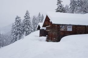 Detaillierte Infos zur Unterkunft Almliesl GAST-601