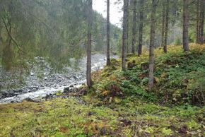 Detaillierte Infos zur Unterkunft Almliesl JOCH-174