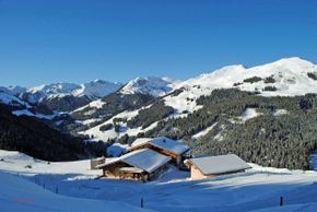 Detaillierte Infos zur Unterkunft Almliesl SAAB-492